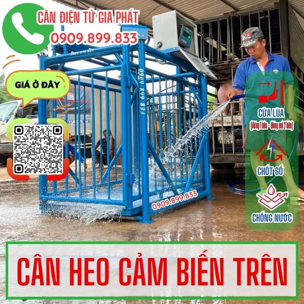 Cân điện tử cân heo 500kg 1 tấn 2 tấn - cân heo 2 con - cảm biến trên