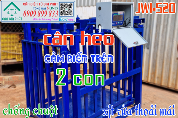 Cân điện tử cân heo 300kg 500kg 1 2 tấn cân 4 con giá rẻ