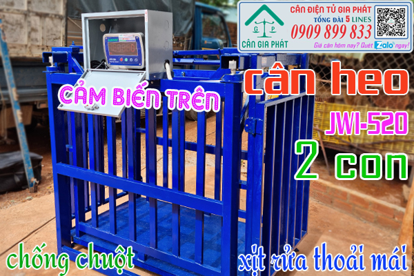 Cân heo điện tử 300kg 500kg 1 tấn 2 tấn ở Gia Lai - mua bán và sửa cân heo điện tử