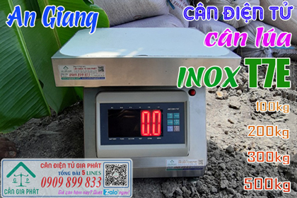 Cân điện tử cân lúa ở An Giang - cân inox T7E 100kg 200kg 300kg 500kg