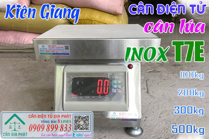 Cân điện tử cân lúa ở Kiên Giang, cân inox T7E 100kg 200kg 300kg 500kg