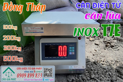Cân điện tử cân lúa ở Đồng Tháp, cân inox T7E 100kg 200kg 300kg 500kg