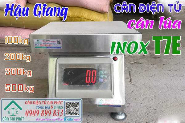 Cân điện tử cân lúa ở Hậu Giang - cân điện tử XK3190-T7E 100kg 200kg 300kg 500kg