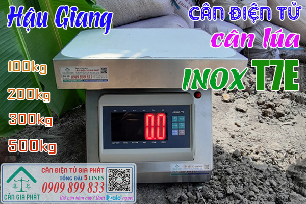 Cân điện tử cân lúa ở Hậu Giang - cân XK3190-T7E 100kg 200kg 300kg 500kg