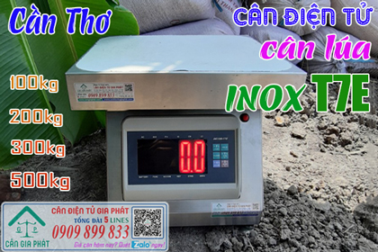 Cân điện tử cân lúa ở Cần Thơ, cân inox T7E 100kg 200kg 300kg 500kg