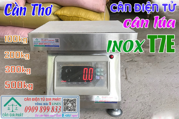 Cân điện tử cân lúa ở Cần Thơ - cân XK3190-T7E 100kg 200kg 300kg 500kg