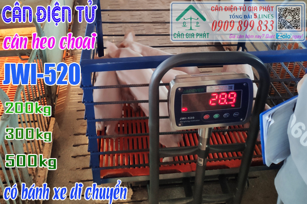 Cân điện tử JWI-520 150kg 200kg 300kg 500kg cân heo con cân heo choai