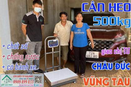 Cân điện tử cân heo 200kg 300kg 500kg giao chị Tư ở Châu Đức Vũng Tàu