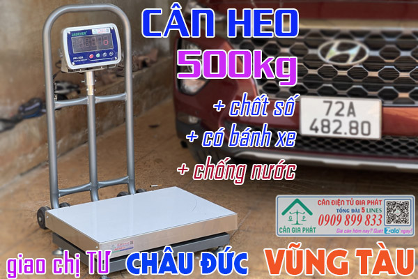 Cân điện tử cân heo 150kg 200kg 300kg 500kg ở Vũng Tàu