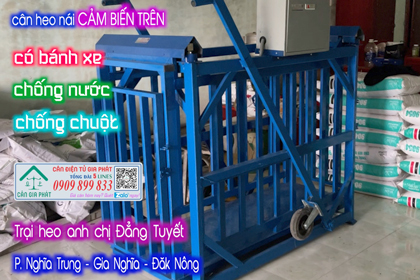 Cân điện tử cân heo JWI-520 500kg a/c Đẳng Tuyết ở Gia Nghĩa Đăk Nông