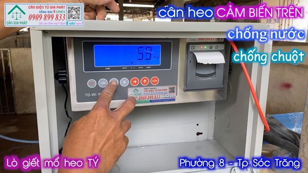 Cân điện tử cân heo có máy in có in phiếu cân - cân heo điện tử 200kg 300kg 500kg 1 tấn 2 tấn