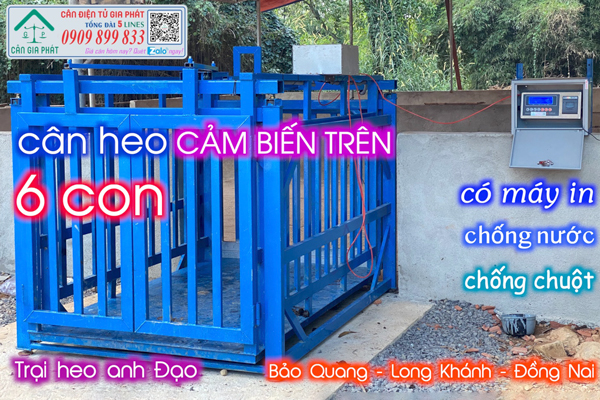 Cân heo điện tử 300kg 500kg 1 tấn 2 tấn có máy in và cân chống nước