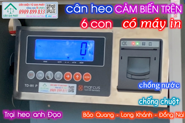 Cân heo điện tử có máy in có in phiếu cân - cân heo điện tử 200kg 300kg 500kg 1 tấn 2 tấn
