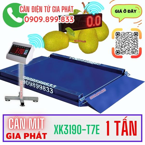 Cân mít điện tử T7E 500kg 1 tấn chuyên cân mít Tiền Giang & Miền Tây
