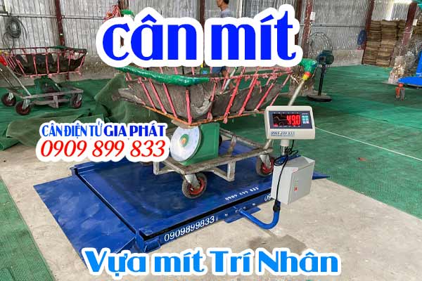 Cân điện tử cân mít T7E 1 tấn giao Vựa mít Trí Nhân Cai Lậy Tiền Giang