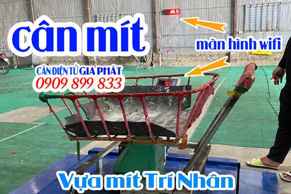 Cân điện tử cân mít T7E 1 tấn kết nối màn hình wifi treo tường - Candientu Gia Phat