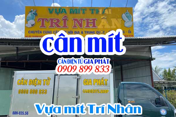 Cân điện tử cân mít XK3190-T7E 500kg 1 tấn 2 tấn ở Tiền Giang - Candientu Gia Phát