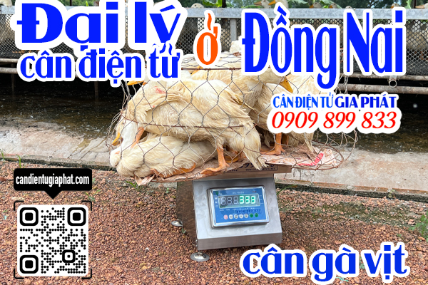 Đại lý cân điện tử Đồng Nai - cân điện tử cân gà vịt 100kg 200kg 300kg 500kg