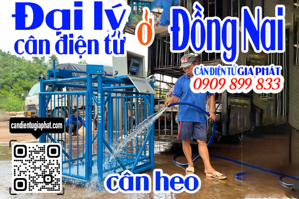 Đại lý cân điện tử Đồng Nai - cân điện tử cân heo cảm biến trên 500kg 1 tấn 2 tấn