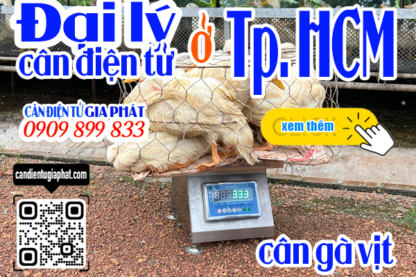 Đại lý cân điện tử TpHCM - cân điện tử cân gà vịt 100kg 200kg 300kg 500kg