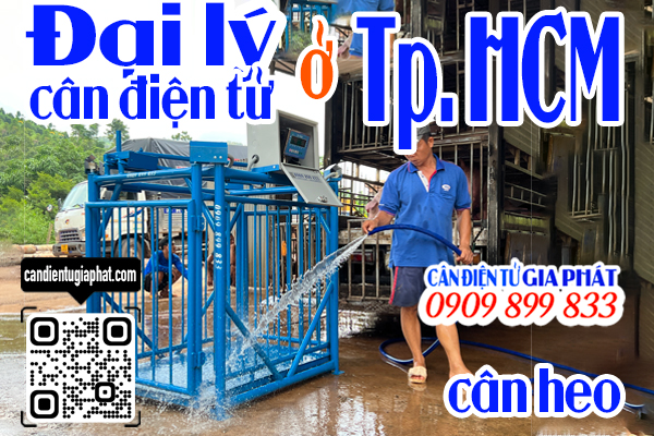 Đại lý cân điện tử TpHCM - cân điện tử cân heo cảm biến trên 500kg 1 tấn 2 tấn