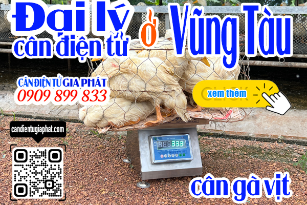 Đại lý cân điện tử Vũng Tàu - cân điện tử cân gà vịt 100kg 200kg 300kg 500kg