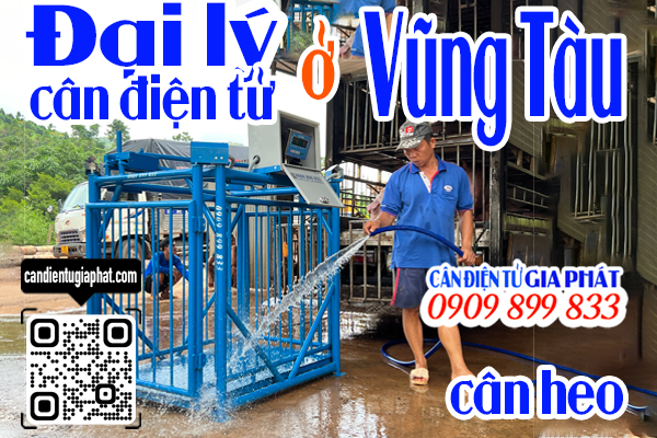 Đại lý cân điện tử Vũng Tàu - cân điện tử cân heo cảm biến trên 500kg 1 tấn 2 tấn