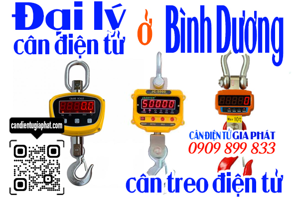 Đại lý cân điện tử Bình Dương - cân treo điện tử 1 2 3 5 10 tấn