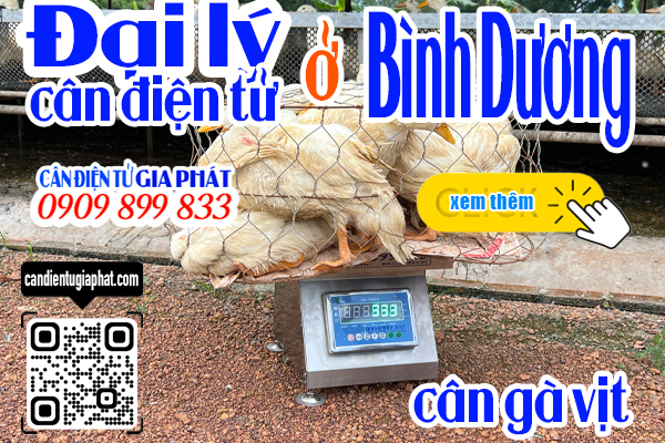 Đại lý cân điện tử Bình Dương - cân điện tử cân gà vịt 100kg 200kg 300kg 500kg