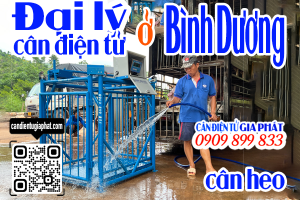 Đại lý cân điện tử Bình Dương - cân điện tử cân heo cảm biến trên 500kg 1 tấn 2 tấn