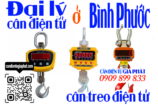 Đại lý cân điện tử Bình Phước - cân treo điện tử 1 2 3 5 10 tấn