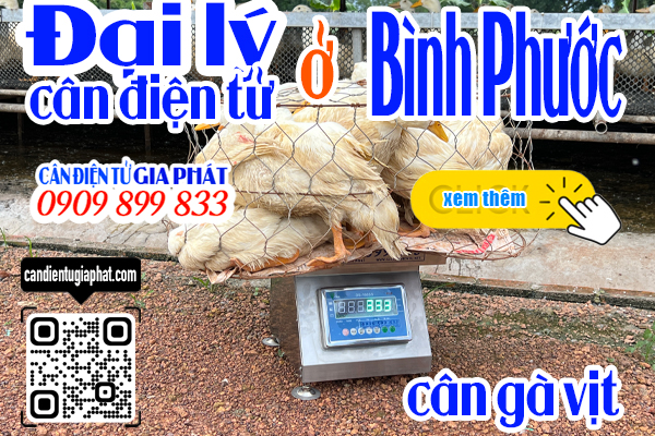 Đại lý cân điện tử Bình Phước - cân điện tử cân gà vịt 100kg 200kg 300kg 500kg