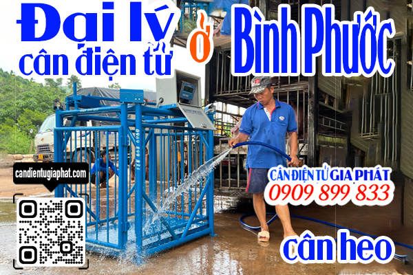 Đại lý cân điện tử Bình Phước - cân điện tử cân heo cảm biến trên 500kg 1 tấn 2 tấn