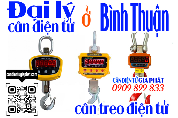 Đại lý cân điện tử Bình Thuận - cân treo điện tử 1 2 3 5 10 tấn