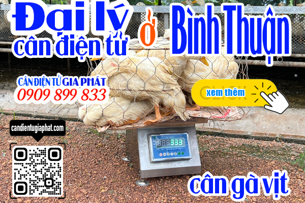Đại lý cân điện tử Bình Thuận - cân điện tử cân gà vịt 100kg 200kg 300kg 500kg
