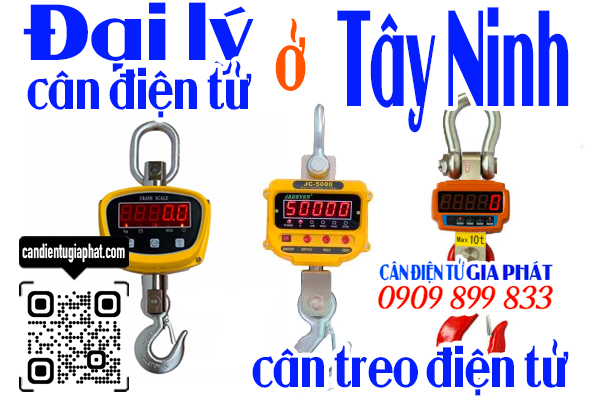 Đại lý cân điện tử Tây Ninh - cân treo điện tử 1 2 3 5 10 tấn