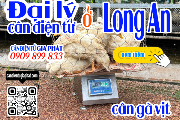 Đại lý cân điện tử Long An - cân điện tử cân gà vịt 100kg 200kg 300kg 500kg