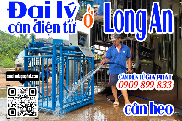 Đại lý cân điện tử Long An - cân điện tử cân heo cảm biến trên 500kg 1 tấn 2 tấn