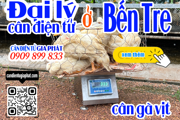 Đại lý cân điện tử Bến Tre - cân điện tử cân gà vịt 100kg 200kg 300kg 500kg