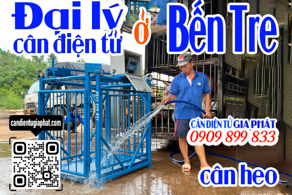 Đại lý cân điện tử Bến Tre - cân điện tử cân heo cảm biến trên 500kg 1 tấn 2 tấn