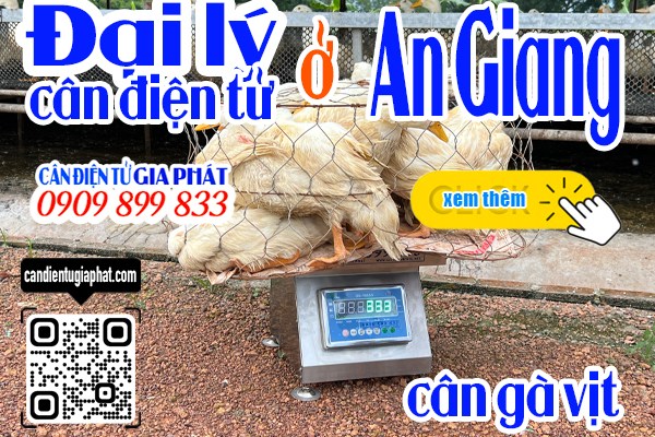 Đại lý cân điện tử An Giang - cân điện tử cân gà vịt 100kg 200kg 300kg 500kg