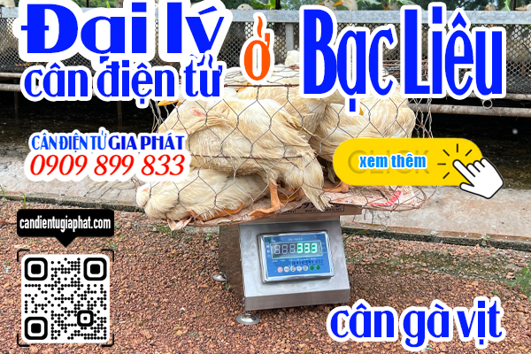 Đại lý cân điện tử Bạc Liêu - cân điện tử cân gà vịt 100kg 200kg 300kg 500kg