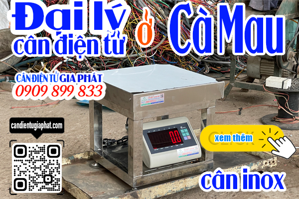 Đại lý cân điện tử Cà Mau - cân điện tử inox 100kg 200kg 300kg 500kg