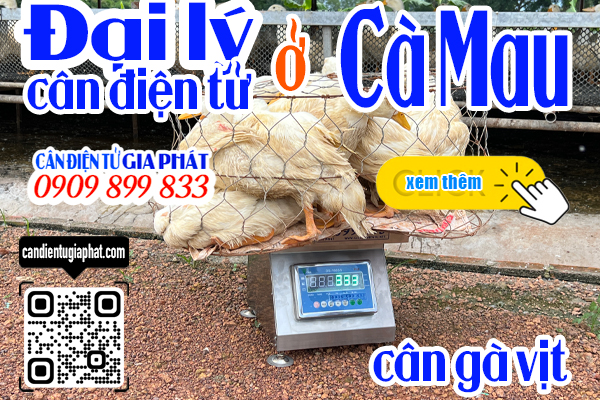 Đại lý cân điện tử Cà Mau - cân điện tử cân gà vịt 100kg 200kg 300kg 500kg