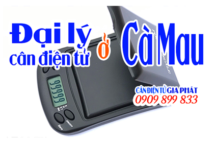 Đại lý cân điện tử Cà Mau - 0909 899 833