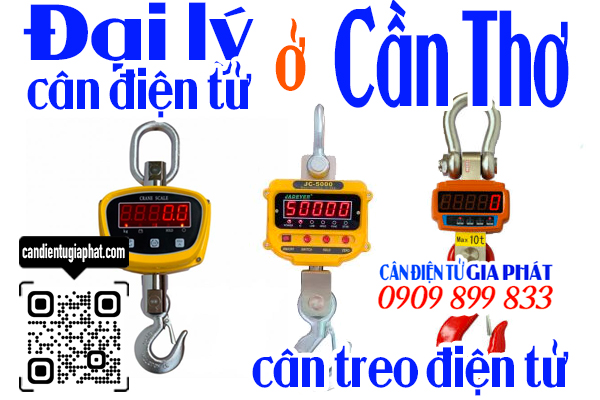 Đại lý cân điện tử Cần Thơ - cân treo điện tử 1 2 3 5 10 tấn