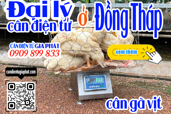 Đại lý cân điện tử Đồng Tháp - cân điện tử cân gà vịt 100kg 200kg 300kg 500kg