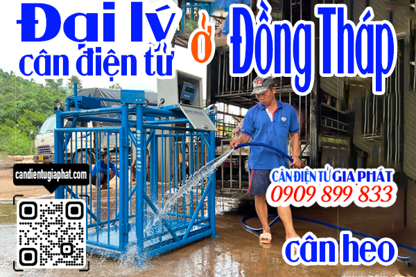 Đại lý cân điện tử Đồng Tháp - cân điện tử cân heo cảm biến trên 500kg 1 tấn 2 tấn