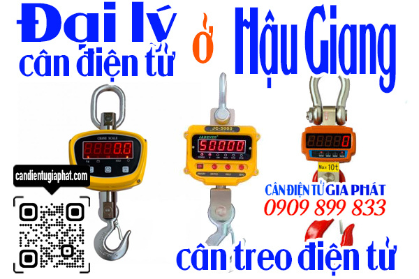 Đại lý cân điện tử Hậu Giang - cân treo điện tử 1 2 3 5 10 tấn