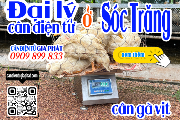 Đại lý cân điện tử Sóc Trăng - cân điện tử cân gà vịt 100kg 200kg 300kg 500kg